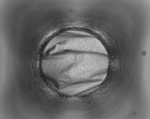 X0000098201159200805151222