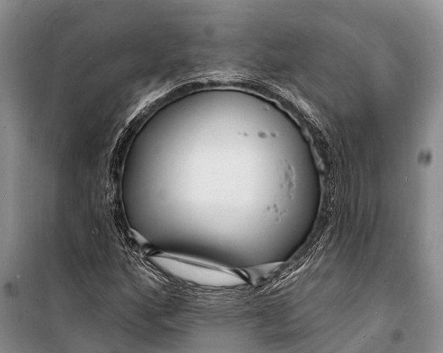 X0000098201160200805151222