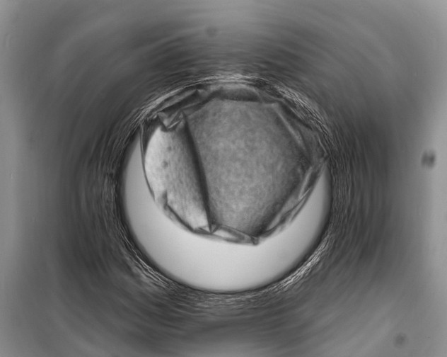 X0000098201161200805151222