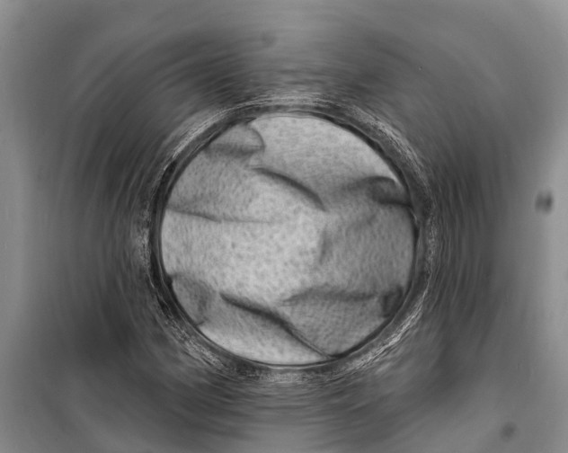 X0000098201162200805151221