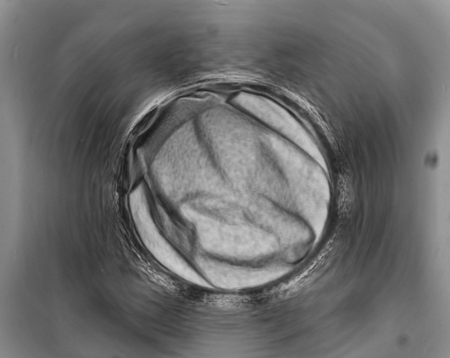 X0000098201163200805151221