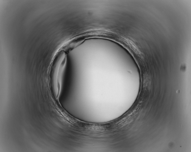 X0000098201164200805151221