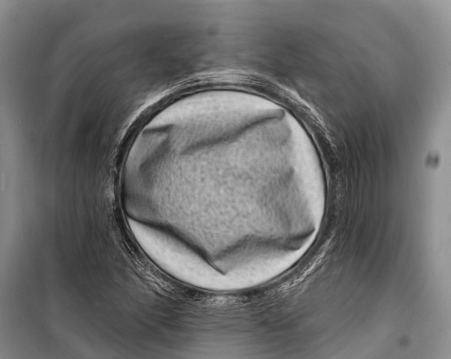 X0000098201166200805151221