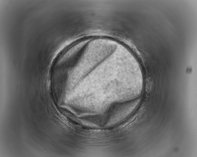 X0000098201167200805151221