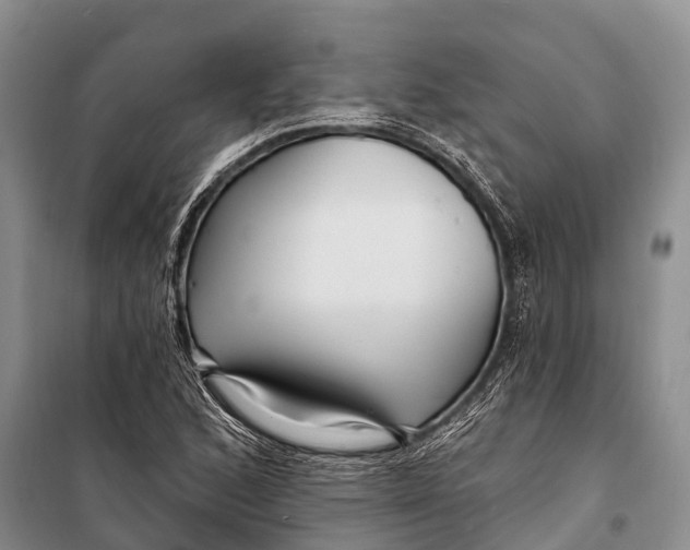 X0000098201168200805151221