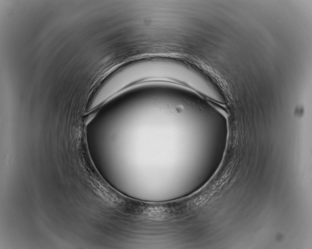X0000098201169200805151221