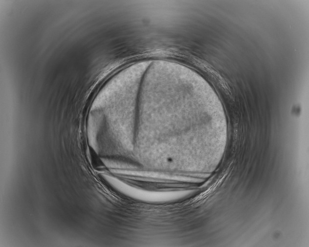 X0000098201170200805151221