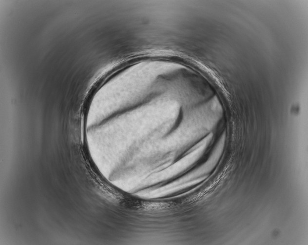 X0000098201171200805151221