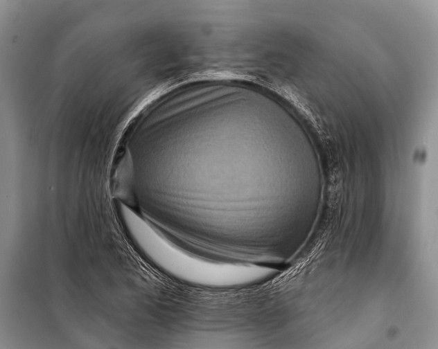 X0000098201173200805151221