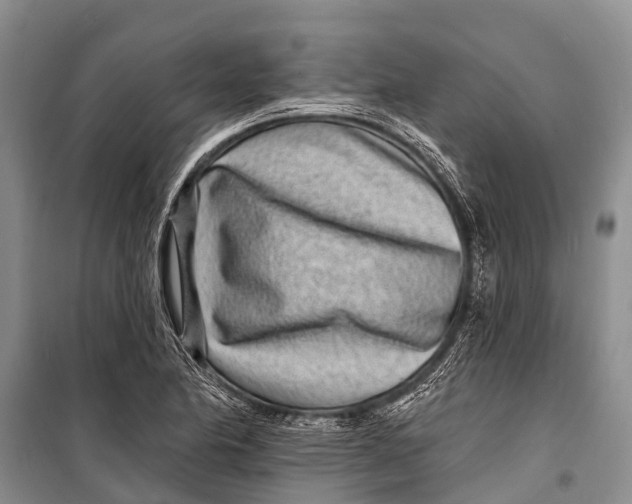 X0000098201174200805151221