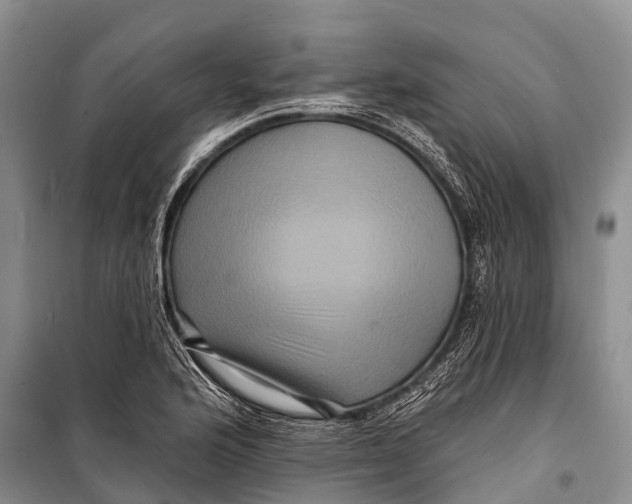 X0000098201176200805151221