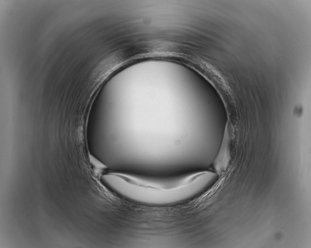 X0000098201177200805151221