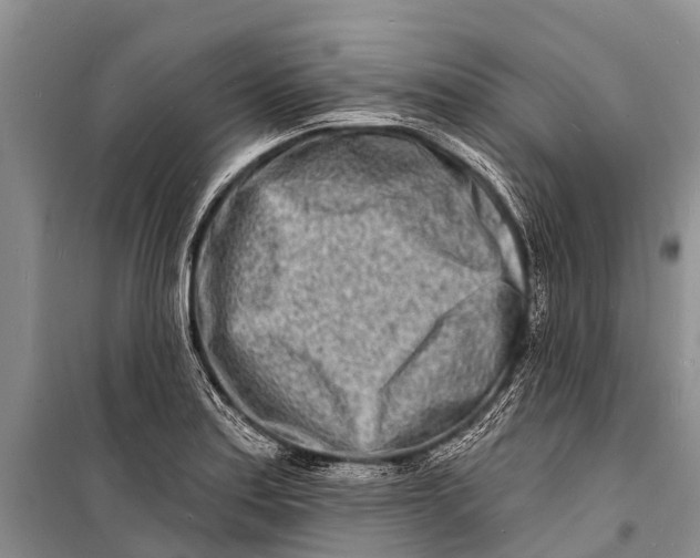 X0000098201179200805151221