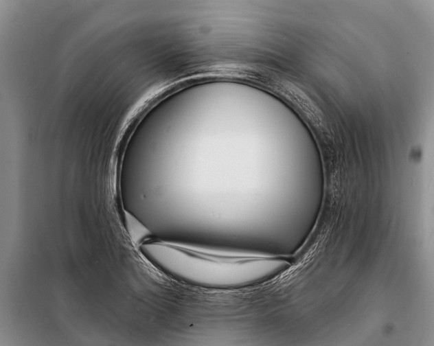 X0000098201180200805151221