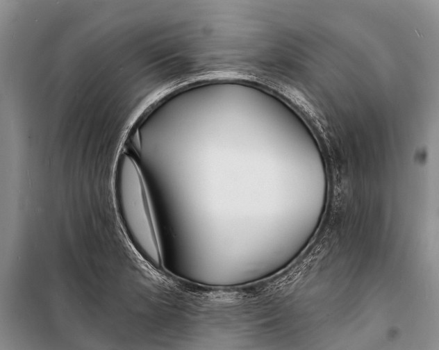 X0000098201181200805151221