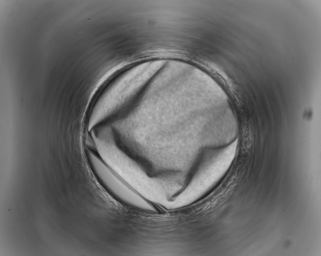 X0000098201182200805151221