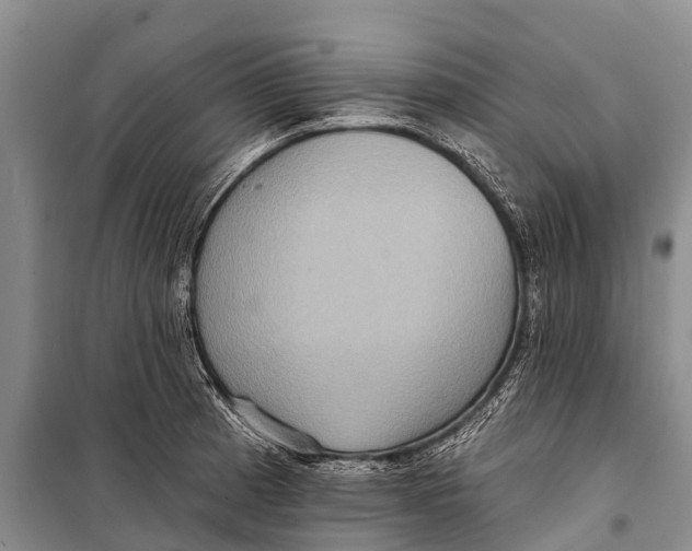 X0000098201185200805151221