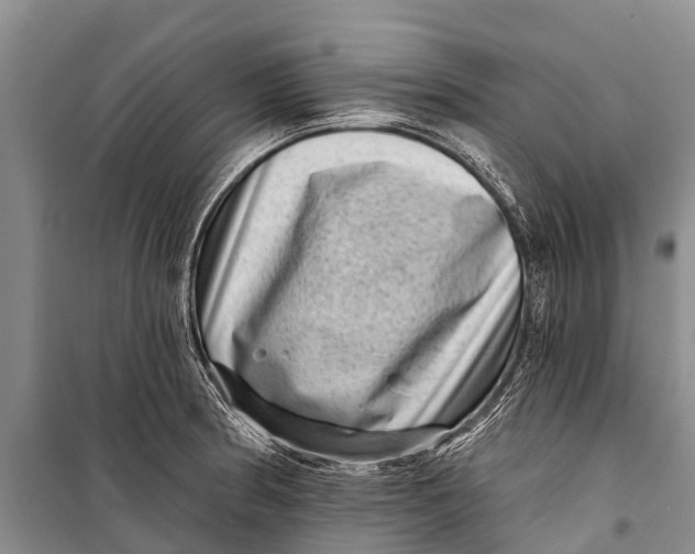 X0000098201186200805151221