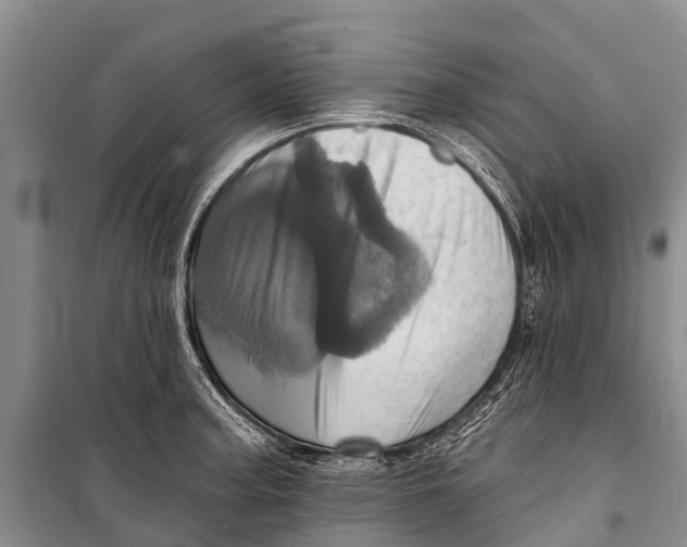 X0000098201187200805151221