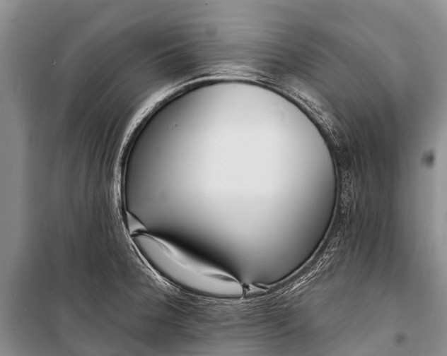 X0000098201188200805151221