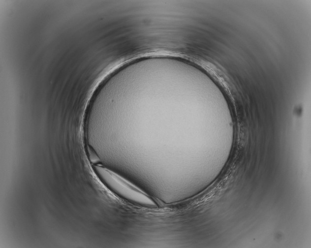 X0000098201189200805151221
