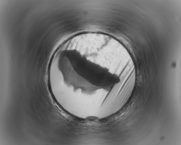 X0000098201191200805151221