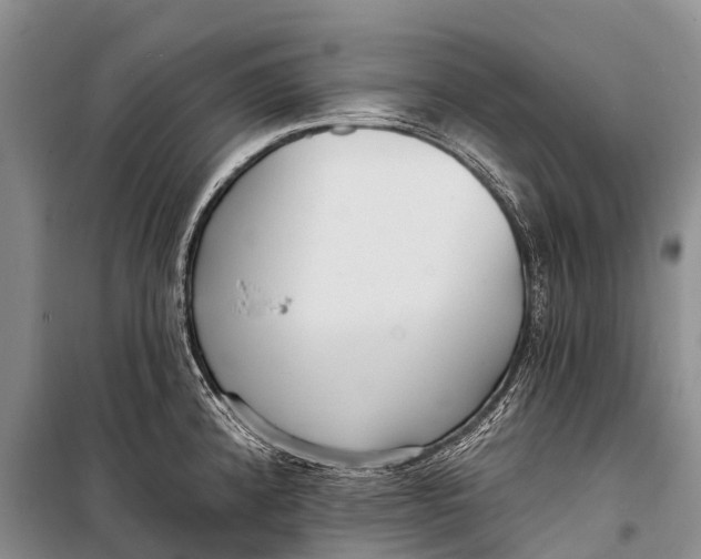 X0000098201192200805151221