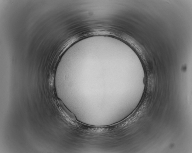X0000098201193200805151221
