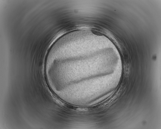 X0000098201194200805151221