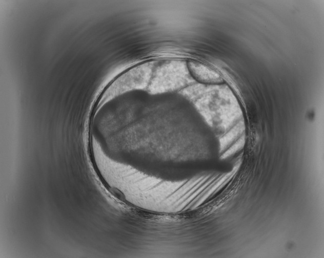 X0000098201195200805151221