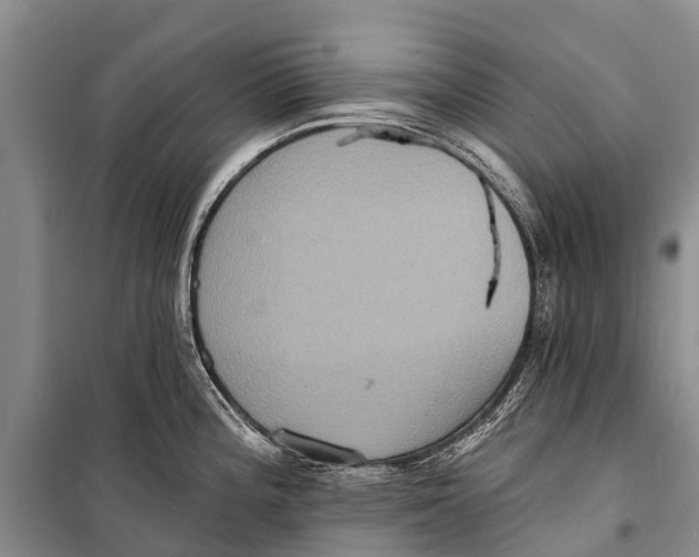 X0000098201196200805151221