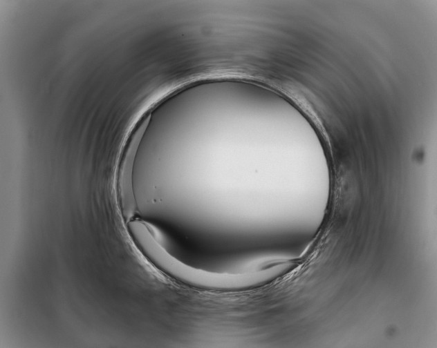 X0000098201197200805151221