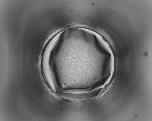 X0000098201198200805151221