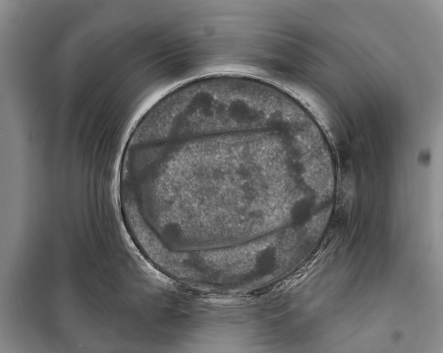 X0000098201199200805151221