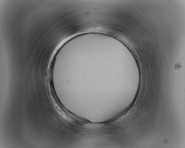 X0000098201200200805151221