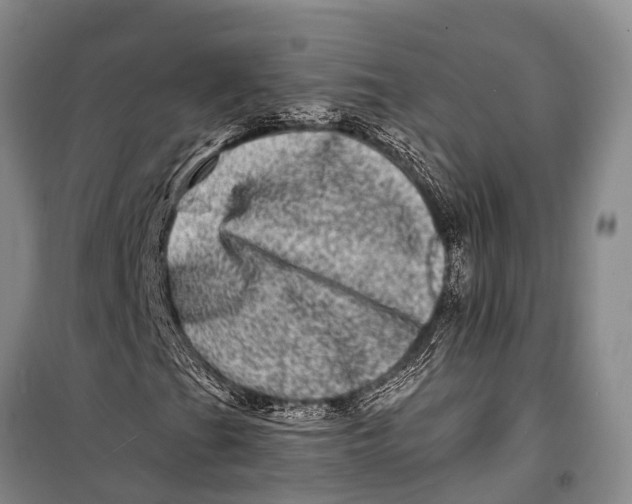 X0000098201201200805151220