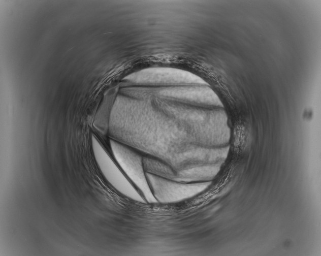 X0000098201202200805151220
