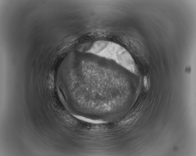 X0000098201203200805151220
