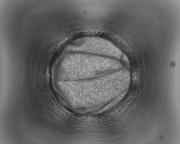 X0000098201204200805151220
