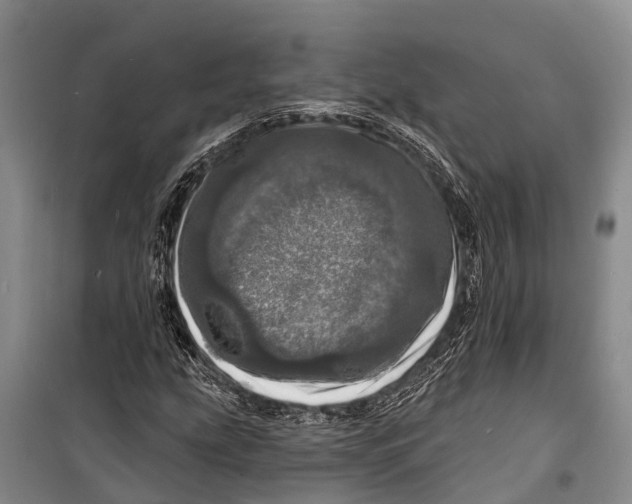 X0000098201207200805151220