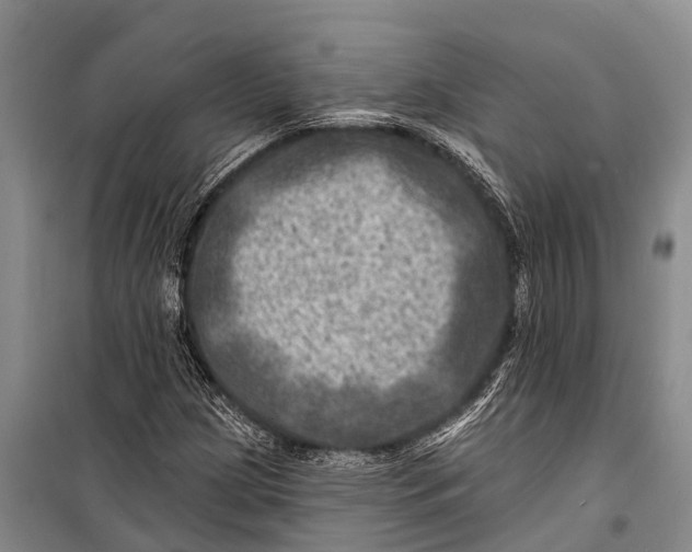 X0000098201209200805151220