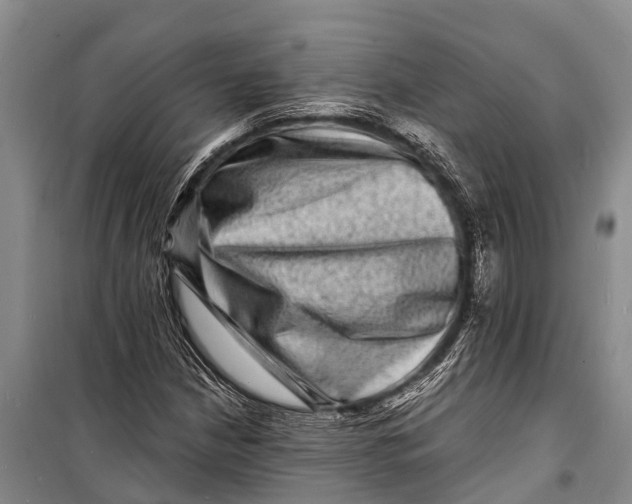 X0000098201210200805151220