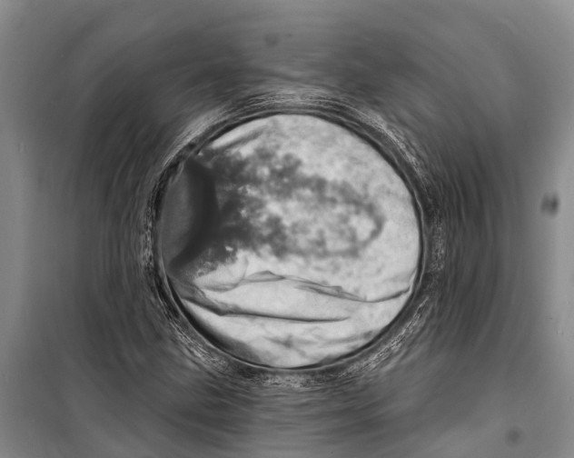X0000098201211200805151220