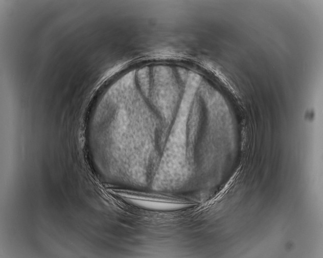 X0000098201213200805151220