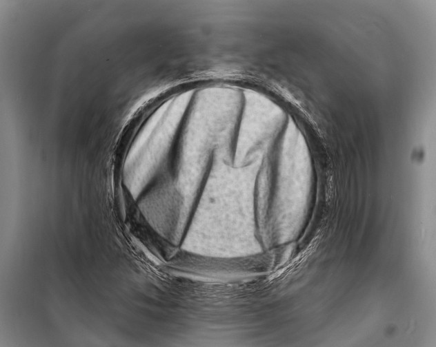 X0000098201214200805151220