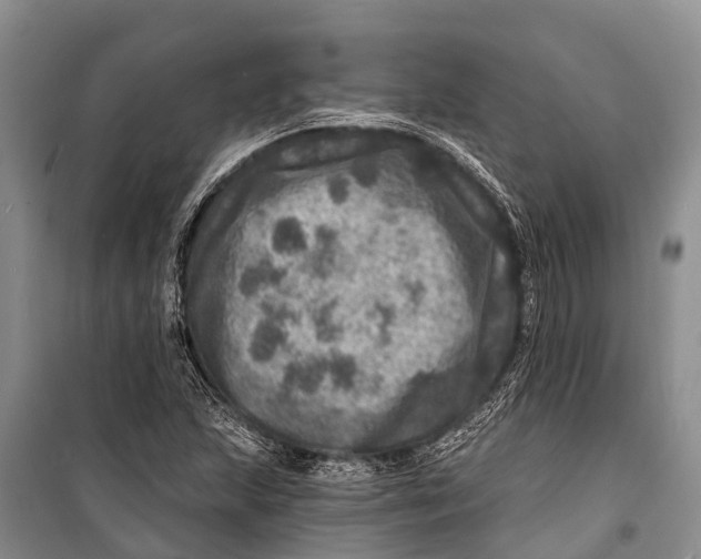 X0000098201215200805151220