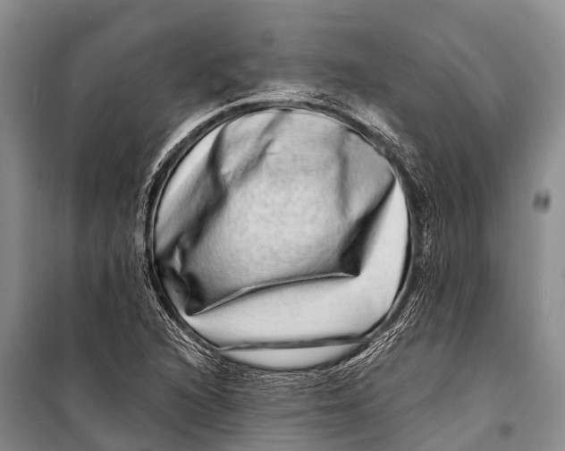 X0000098201216200805151220