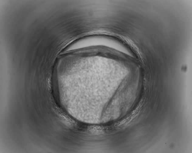 X0000098201217200805151220