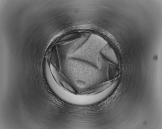 X0000098201218200805151220