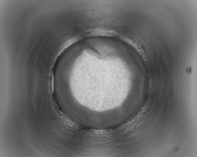 X0000098201219200805151221